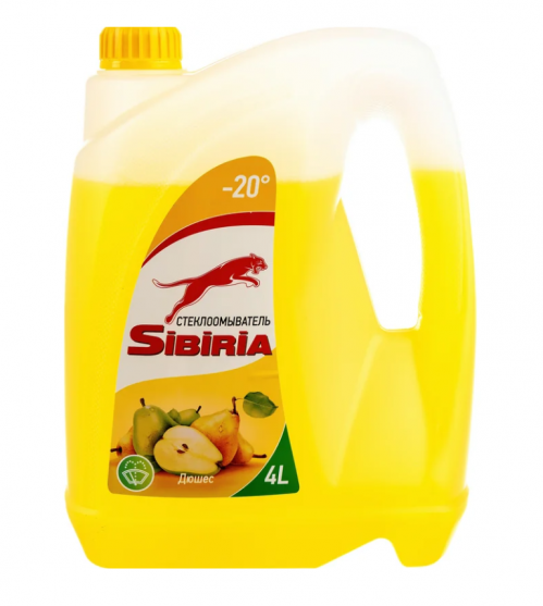 Жидкость омывателя -20&deg;С дюшес 4л