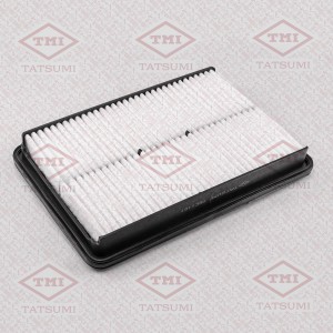 HYUNDAI SANTA FE 2.0D, 2.2D (2012>)/ KIA SORENTO TBC1101 TATSUMI