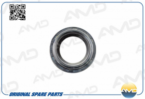 HYUNDAI AMD.GAS107 AMD