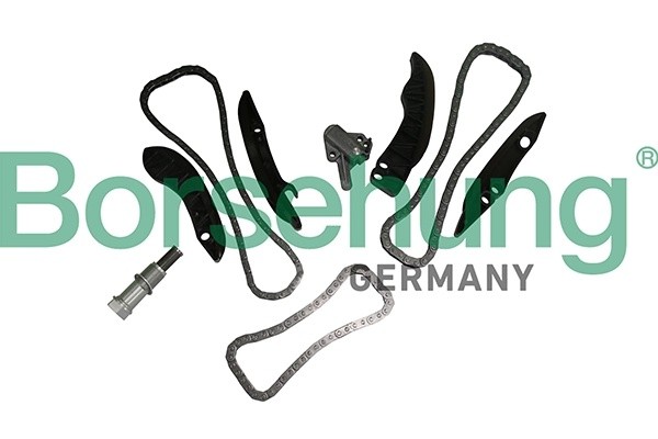 Комплект цепи привода ГРМ B19295 B19295 BORSEHUNG