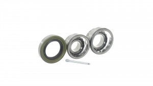 Подшипник ступицы DAEWOO Matiz задней SKF VKBA3796 SKF