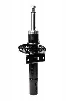 Амортизатор передний, GAS F21GR0054 F21GR0054 CWORKS