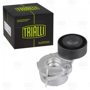 Ролик привод. ремня VW Touareg II (10-)/Audi Q7 (06-) 3.0d [EA897] (с натяж. мех CM5790 TRIALLI