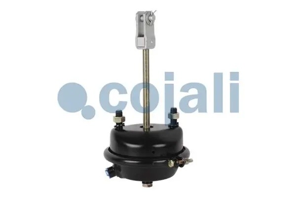 Камера тормозная T24 MAN/RVI аналог Wabco 4231069000 2251107 COJALI
