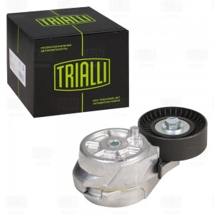 Натяжитель ремня ГАЗ-31105 дв.Крайслер TRIALLI CM5760 TRIALLI