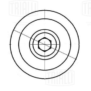Ролик приводного ремня CM 5554 TRIALLI