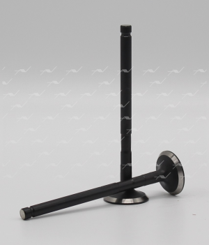 VE-34024 клапан вып TOYOTA 4E-FE/5E-FE 24.5x6x94 (10702070/120118/0003549, ГЕРМА VE-34024 AUTOWELT