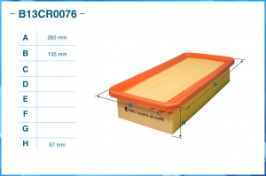 Фильтр воздушный B13CR0076 B13CR0076 CWORKS