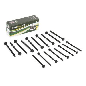 комплект болтов ГБЦ! 18шт.\ Peugeot Boxer 2.2HDi 06> BK9602 BG AUTOMOTIVE