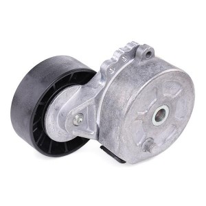 Ролик приводного ремня FORD C-Max (07-10) DAYCO APV1114 DAYCO