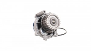 AUDI A3 [8L1]/ A4 [B5]/ VW PASSAT [B5] VKPC81220 SKF