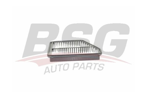 Фильтр воздушный HYUNDAI Matrix (01-) (1.5/1.6/1.8) BSG BSG40135021 BSG