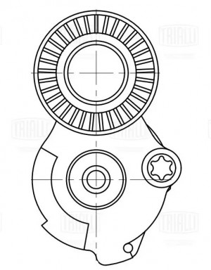Ролик привод. ремня VW Touareg II (10-)/Audi Q7 (06-) 3.0d [EA897] (с натяж. мех CM5790 TRIALLI