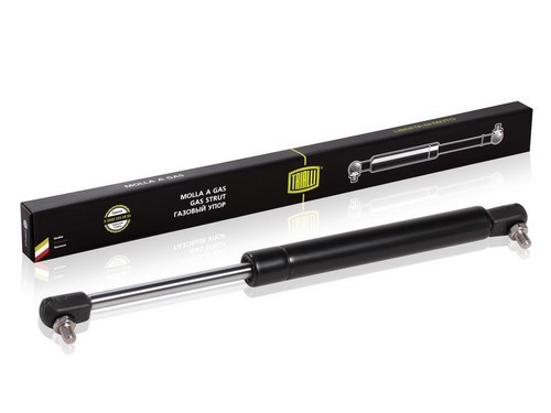 Упор двери задка для а/м ВАЗ 1118 "TRIALLI" (с крепежом) GS0105 TRIALLI