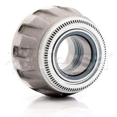 Ступица SK RB 9022,9019 (в сборе с подшипниками с 12 болтами) F300001 FERSA