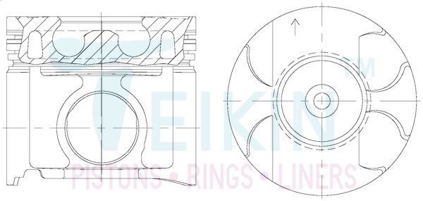 ПОРШНИ 46348AG0.50 46348AG050 TEIKIN