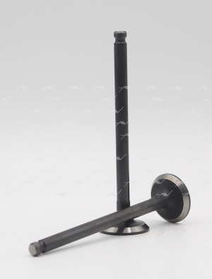 VI-32025 клапан впуск №2 MITSUBISHI 4G1315 SOHC 12V 26x6.6x100.9 VI32025 VI-32025 AUTOWELT