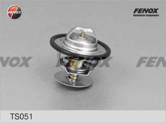 Термостат Ford Focus 98-04, Mondeo 93-00, Escort 92-00 TS051 FENOX