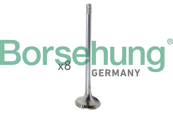 к-кт клапанов! впуск./выпуск. 16шт. 28.5x5x110.25\ Audi A1/A3, VW Golf/Jetta 1.4 B10322 BORSEHUNG
