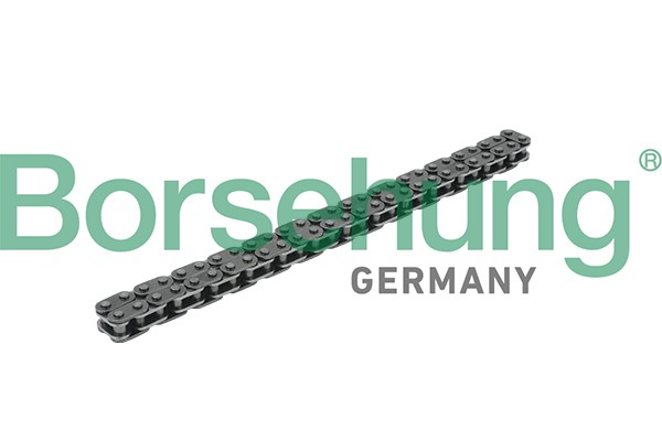 цепь! привод маслонасоса\ Audi A3 1.4TSI/1.6FSI, VW Golf 5 Plus 1.4TSI 06> B18228 BORSEHUNG