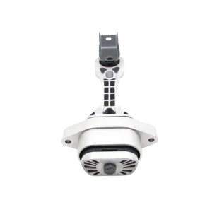 Опора двигателя VOLKSWAGEN Golf 1997 ~ 2005 / Bora 1997 ~ 2005 / New Beetle 2001 GZ0155 CTR