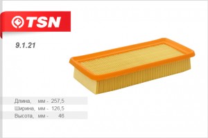 фильтр воздушный!  Hyundai Getz 1.0i/1.3i/1.6i 02> 9121 TSN