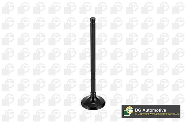 клапан выпускной! 28x5.5x104.6\ Ford Mondeo III 1.8i 16V CGBA/CHBA 00-07 V998746 BG AUTOMOTIVE