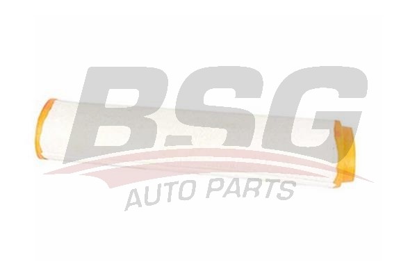 Фильтр воздушный BMW 3 (E46,E93),5 (E61),7 (E38,E65) BSG BSG15135006 BSG
