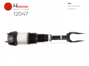 Пневматический амортизатор 12047 HORDANO