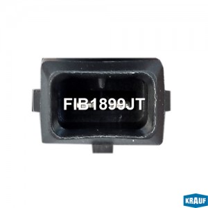 форсунка бензиновая!\ Renault Clio/Megane 1.6i 96-03 fib1899jt KRAUF