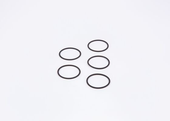 Кольцо уплотнительное F00RJ00220 BOSCH
