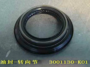 Сальник GREAT WALL Hover кулака поворотного OE 3001130K01 GREAT WALL