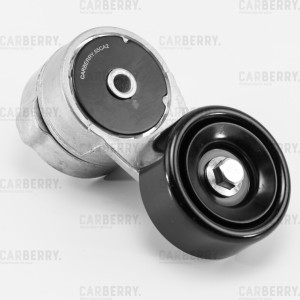 SOLARIS (2010>)/CERATO (2009>) 55CA2 CARBERRY