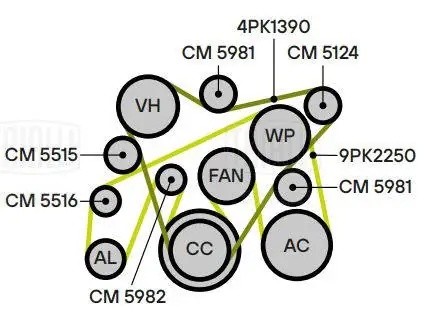 Ролик привод. ремня Toyota Land Cruiser 200 (07-) 4.5d [VD] (с натяж. мех.) гене CM 5981 TRIALLI