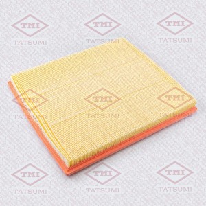 FORD EUROPA TRANSIT (2006>) 2.2 TDCi TBC1100 TATSUMI