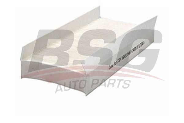 Фильтр воздушный салона FORD Focus 1,Transit Connect BSG BSG30145003 BSG