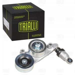 Ролик приводного ремня с натяжным механизмом двойной CM5731 TRIALLI