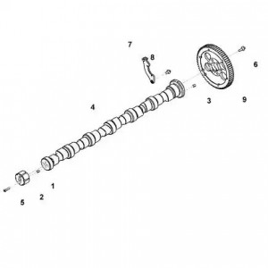 Вал распределительный КАМАЗ Камминз 6ISBe (3954099) (Haffen) 0019 HAFFEN