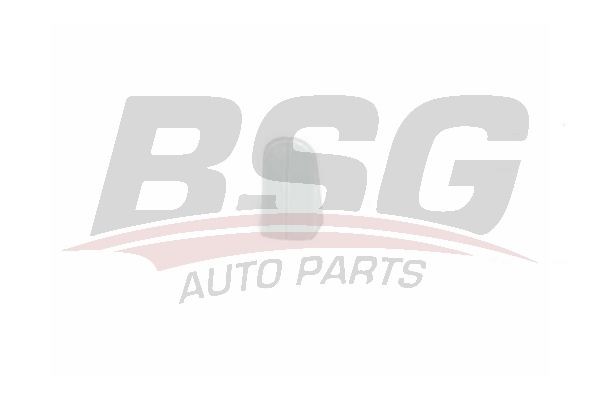 Накладка ручки двери FORD C-Max,Focus (04-11) наружной BSG BSG30970059 BSG