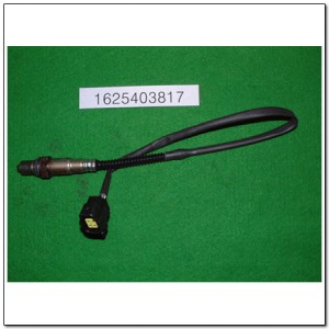 Датчик кислорода SSANGYONG Kyron (06-),Rexton (02-) (E28/32) OE 1625403817 SSANG YONG