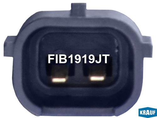 Форсунка бензиновая FIB1919JT FIB1919JT KRAUF