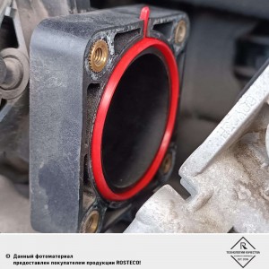 Прокладка NISSAN Juke (11-) заслонки дроссельной ROSTECO 20882 ROSTECO