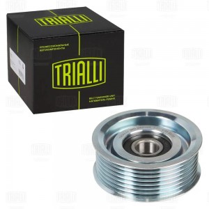 Ролик приводного ремня опорный CM 5875 TRIALLI