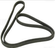 Ремень приводной Skoda Octavia (96-) 1.6i/1.8i/1.9d/2.0i (6DPK1195) 6DPK1195 TRIALLI