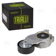 Ролик привод. ремня Peugeot 307 (00-) 1.4d/1.6d (с натяж. мех.) d46 (CM 5275) CM5275 TRIALLI
