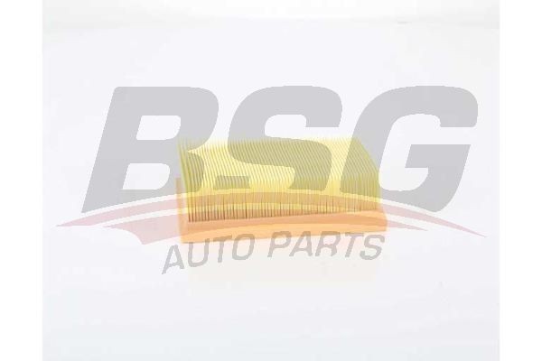 Фильтр воздушный NISSAN Qashqai (J10) (1.6/2.0),X-Trail (T31) (2.0) BSG BSG75135022 BSG