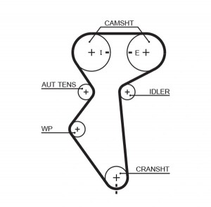 Ремень зубчатый 5419XS 127 x 25 (8597-15419) 5419XS GATES