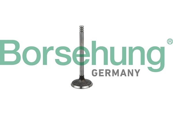 клапан впускной! 36x7x90\ VW Golf/Passat/Sharan/Polo 1.4TDi/1.9TDi 98> B19029 BORSEHUNG