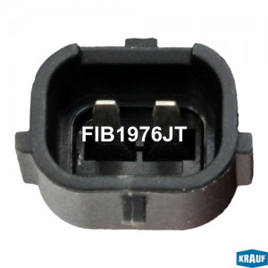 форсунка бензиновая!\ Audi A8 3.7 02> FIB1976JT KRAUF