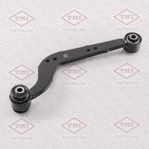 TOYOTA RAV 4 (2006>) TEE1721L TATSUMI